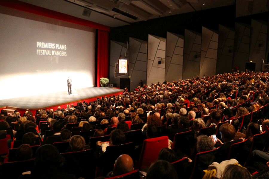 Politiques du cinéma et territoires