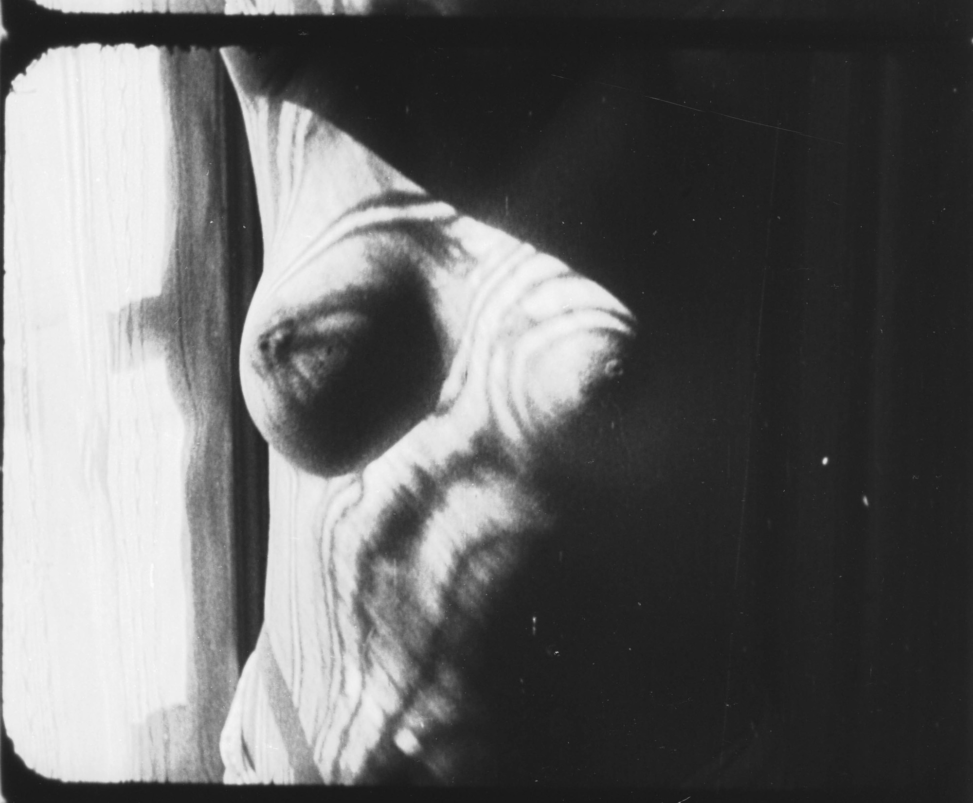 LâasĂ©ance ou le site du film expĂ©rimental