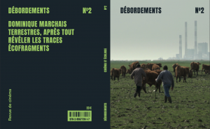 Ecocritique 2, la revue « Débordements » terrestre aprÚs tout ! - Séminaire sur la critique (visioconférence)