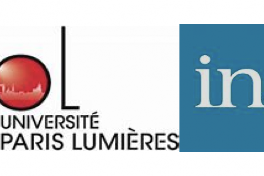 Appel à candidatures – Contrat post-doctoral INA-UPL 2021