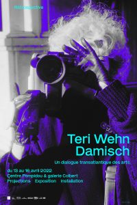 Rétrospective Teri Wehn Damisch - Projections, exposition, installation @ INHA, Galerie Colbert / Centre Pompidou