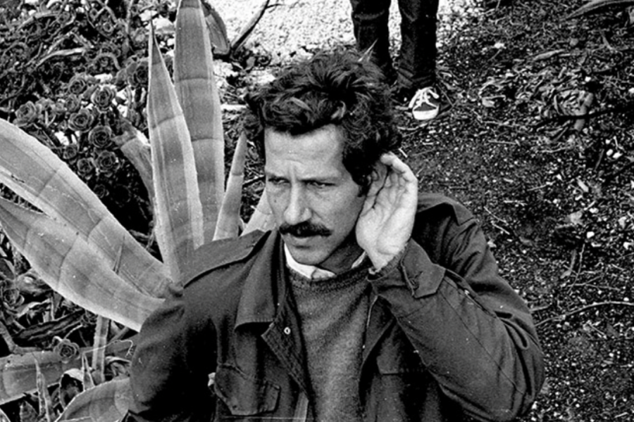 Mise en ligne du colloque Werner Herzog