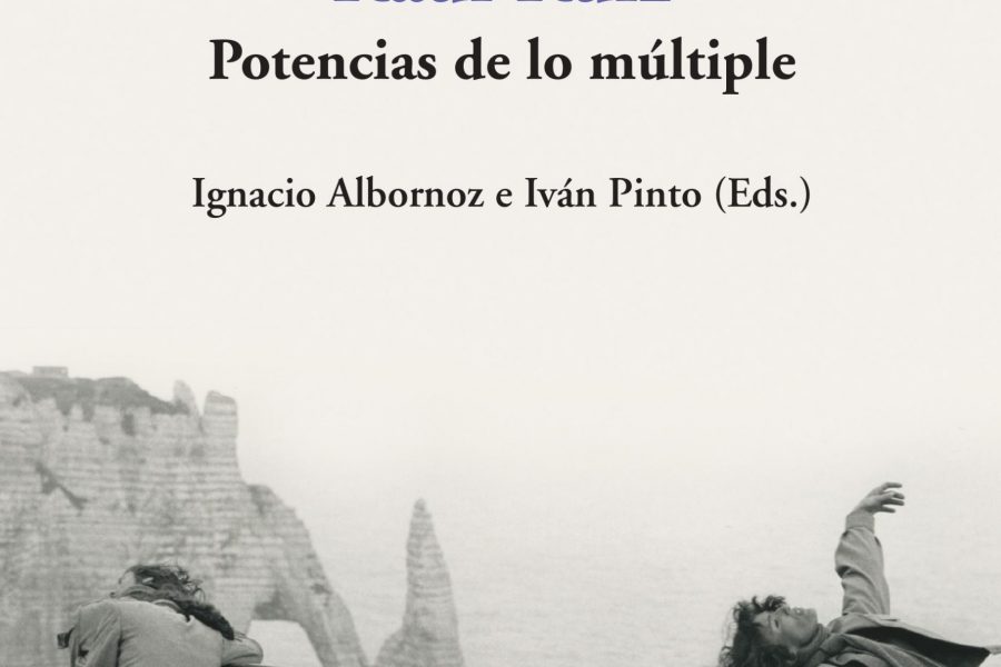 Raúl Ruiz. Potencias de lo múltiple