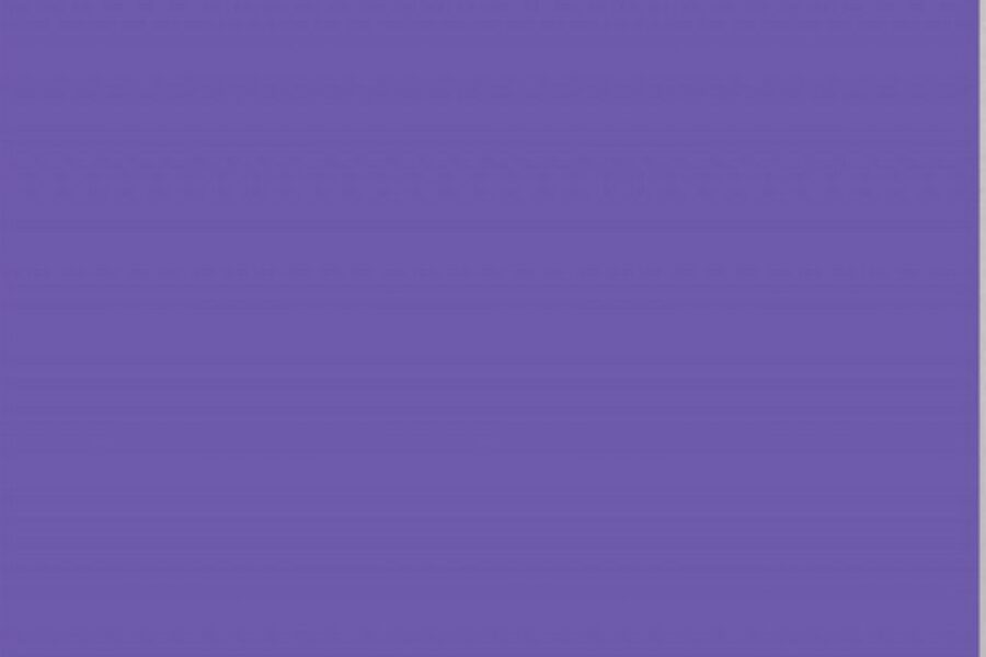 Teri Wehn Damisch : Passages transatlantiques entre les arts